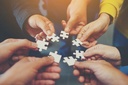 Découvrir et explorer l’intelligence collective