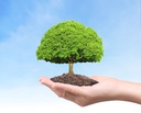 [MCCD126] Master class: L'Arbre de vie un outil pour accompagner les transitions de vie et l'estime de soi
