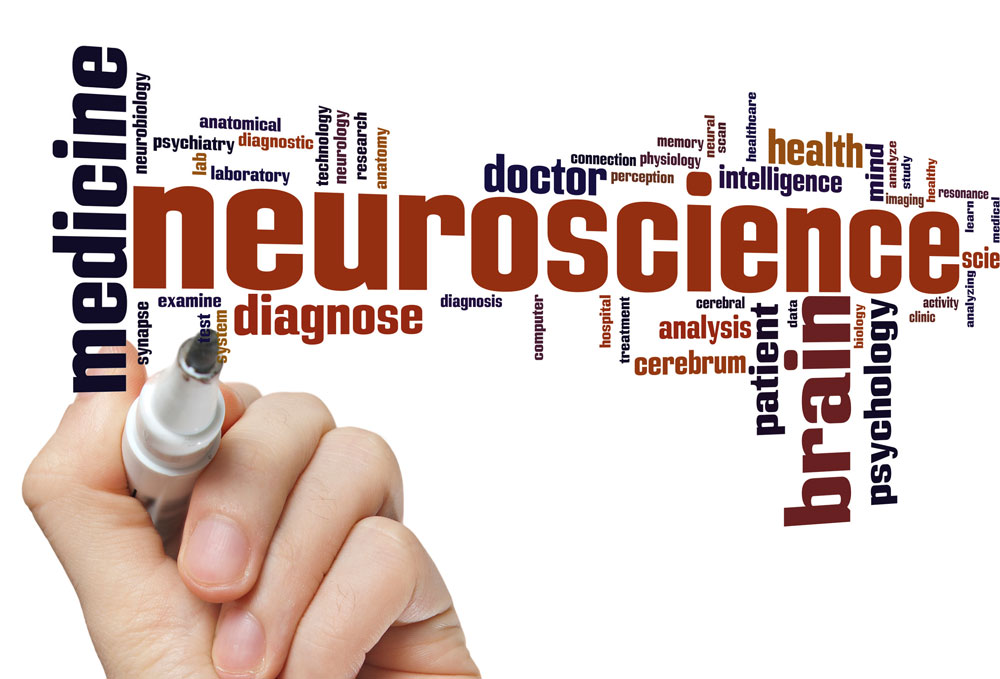 Quand pédagogie et neurosciences se conjuguent