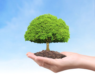 Master class: L'Arbre de vie un outil pour accompagner les transitions de vie et l'estime de soi